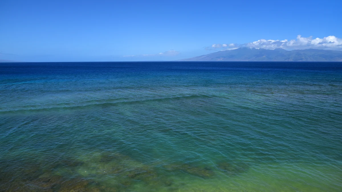 Maui Kai 308