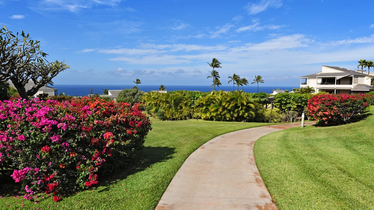 Wailea Ekolu 504