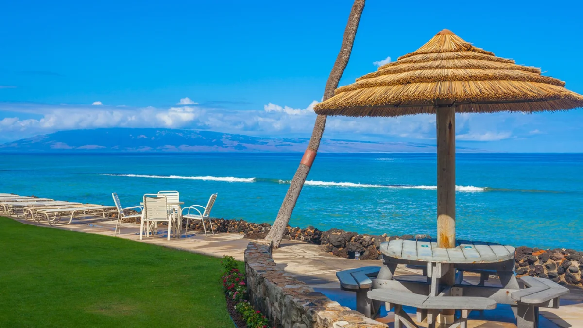 Kaleialoha 401