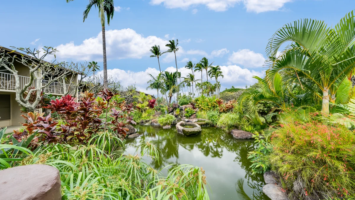 Napili Shores E240