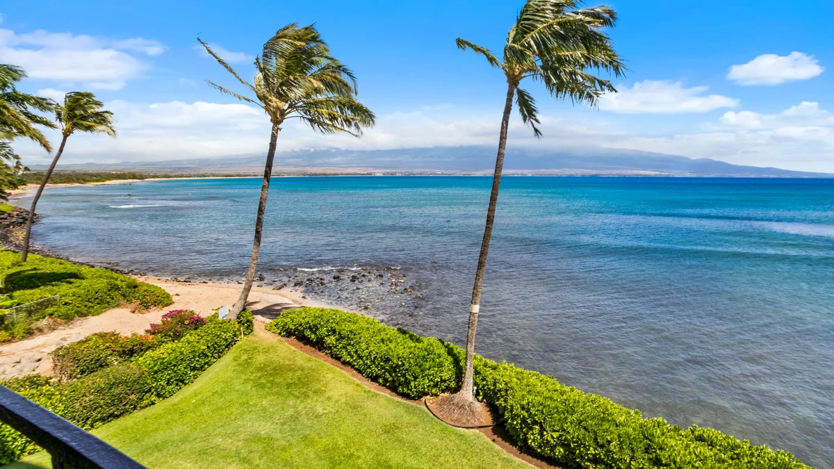 .Island Sands 311