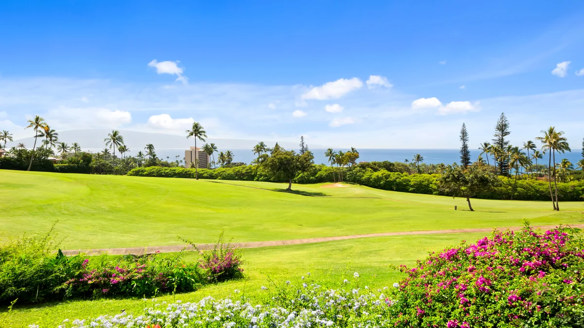 Kaanapali Plantation 10