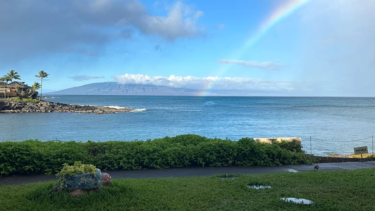 .Napili Point A13