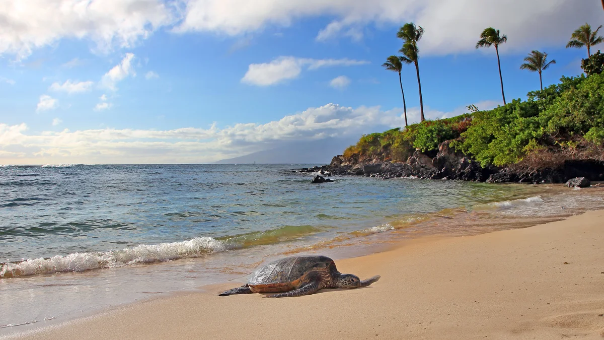 Kapalua Ridge Villas 2614