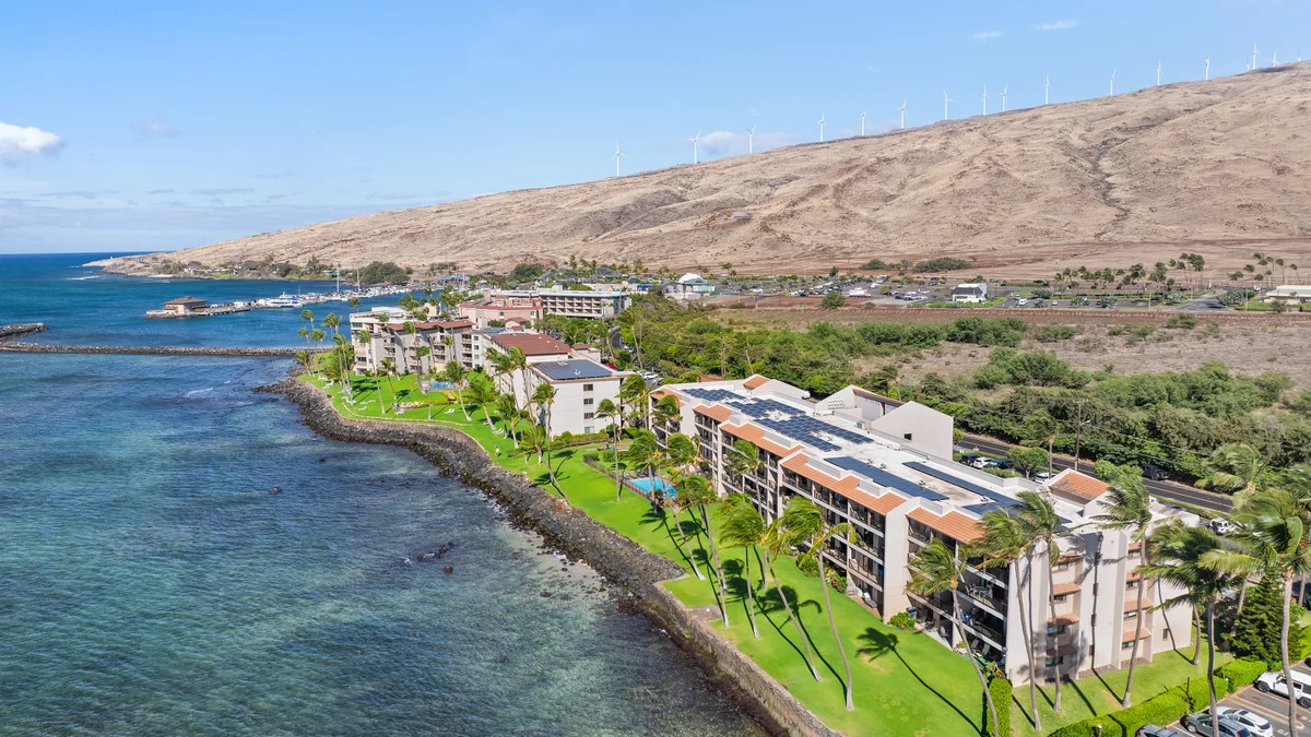 Lauloa 403