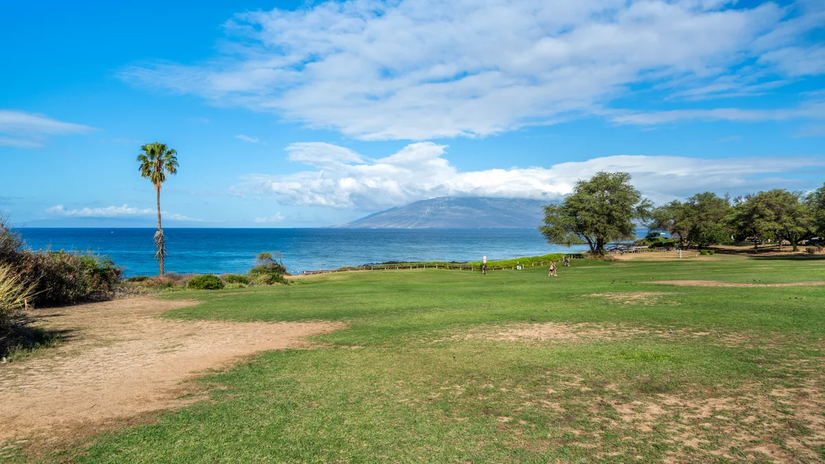 Hale Kamaole 171