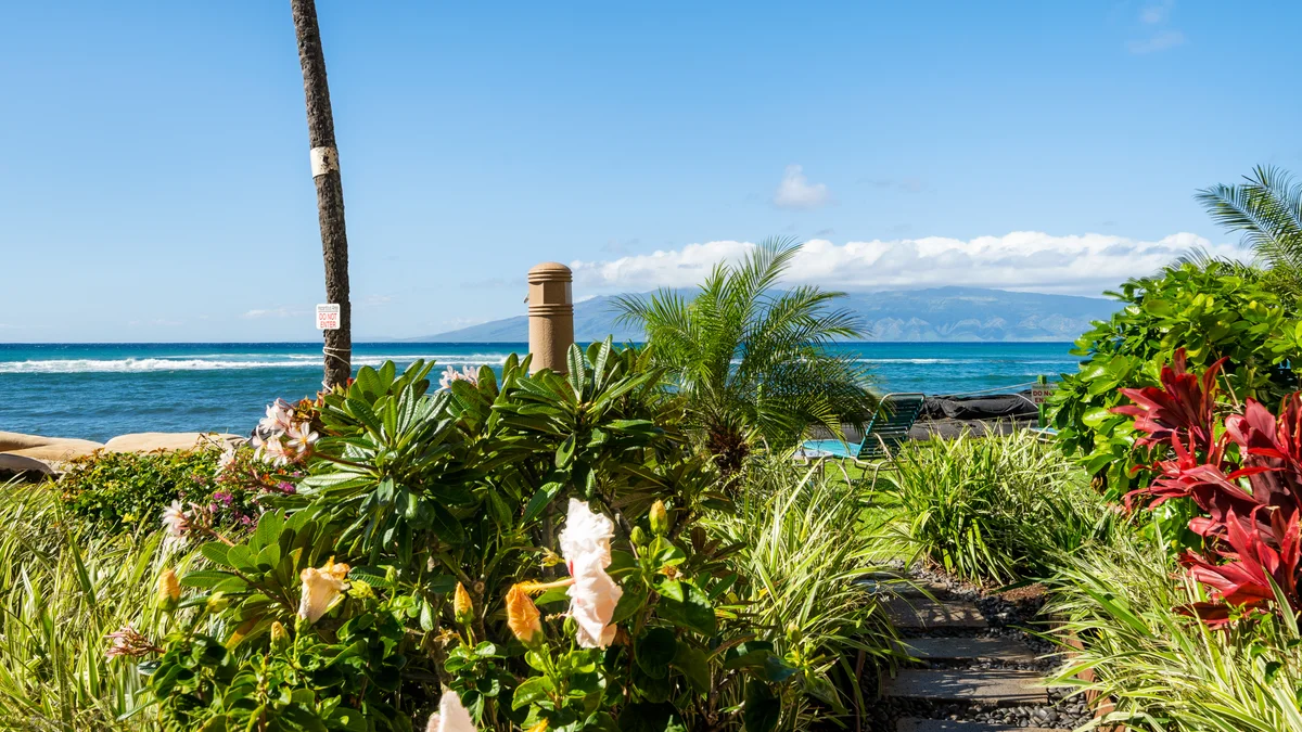 Royal Kahana 701