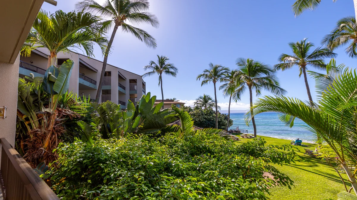 Hale Mahina A207