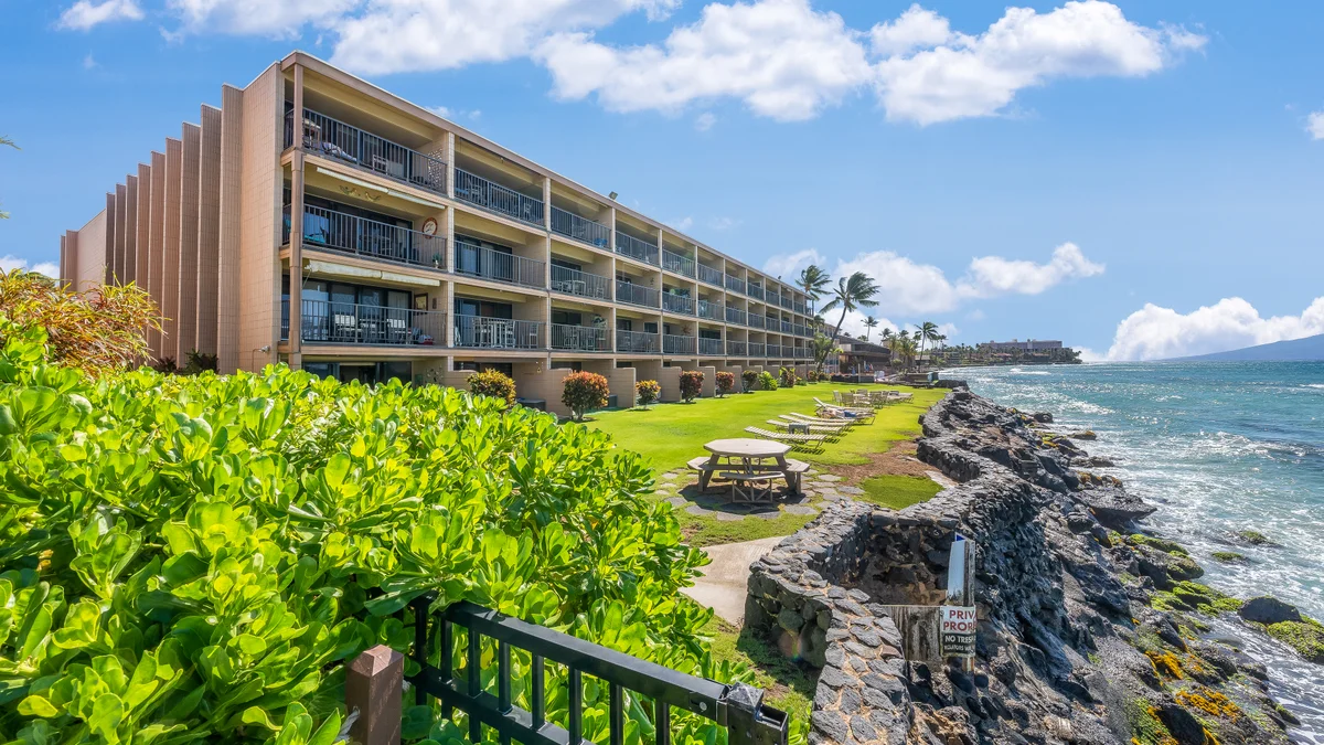 Kaleialoha 211