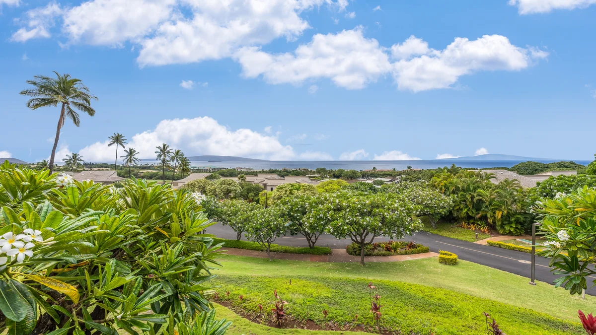Wailea Ekolu 504