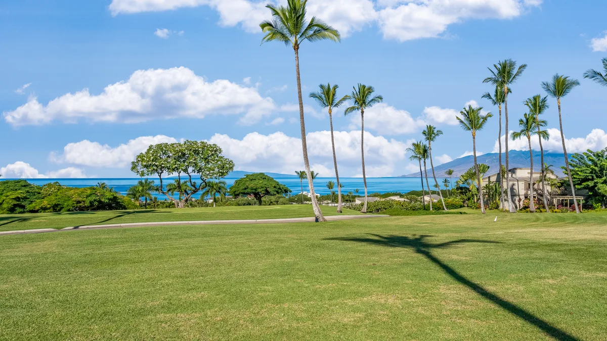 Wailea Ekolu 1509