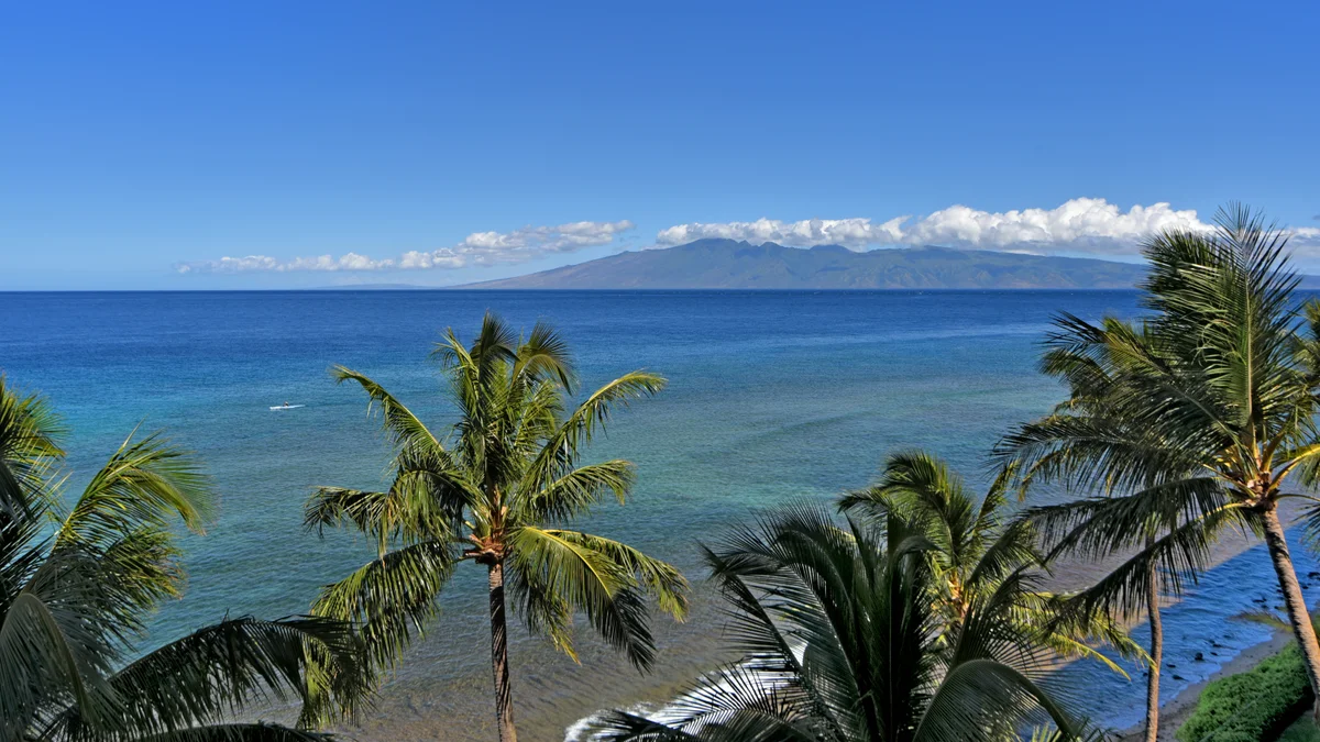 .Mahana 813