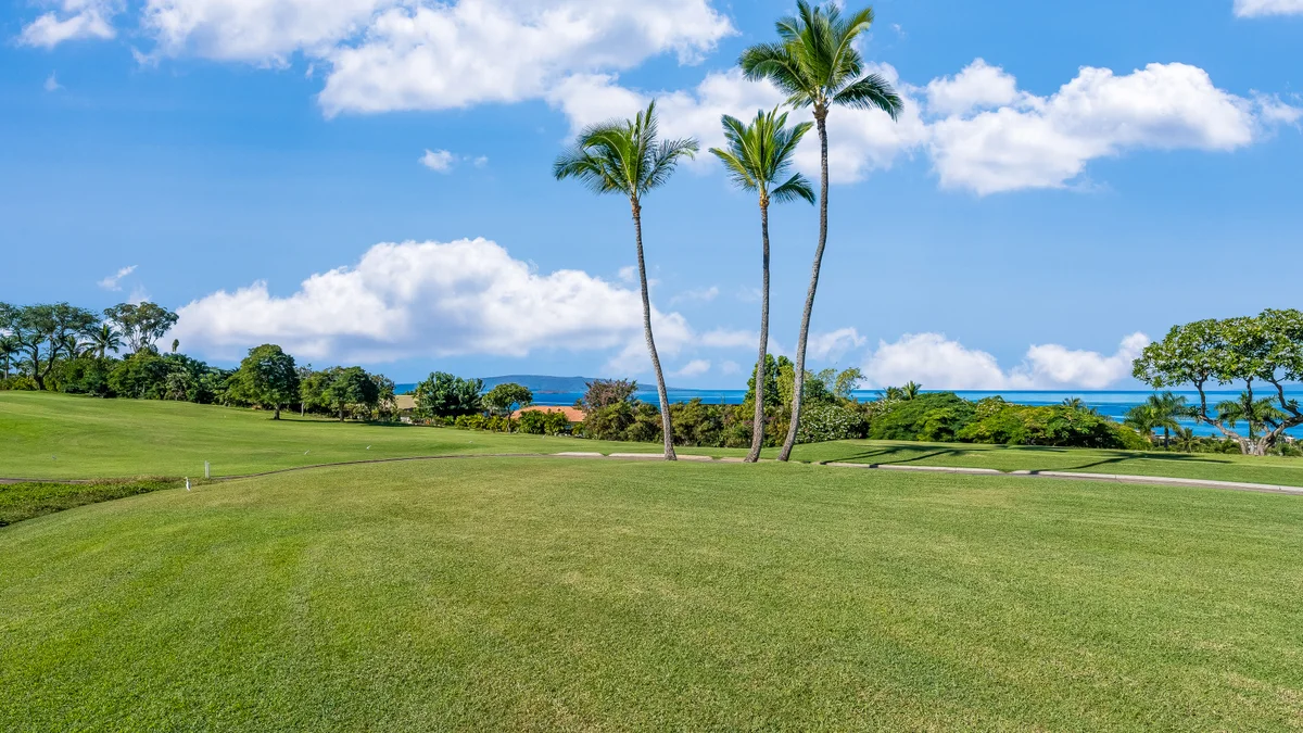 Wailea Ekolu 1509