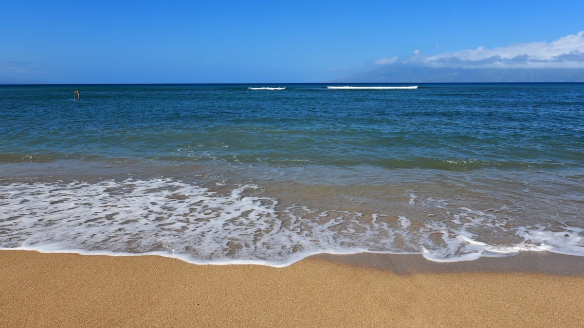 Royal Kahana 104