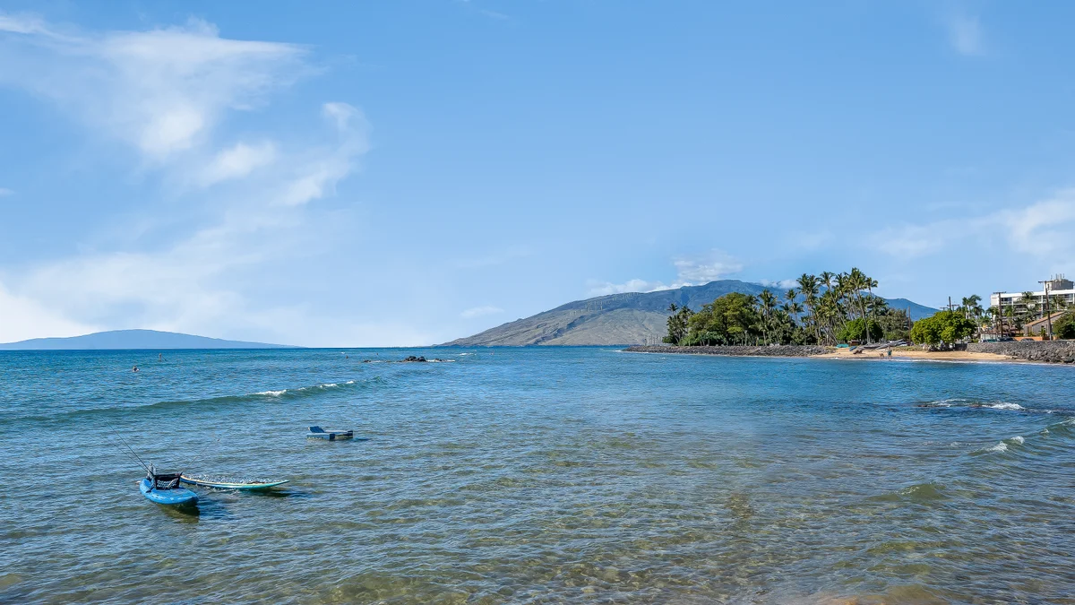Maui Vista 1205