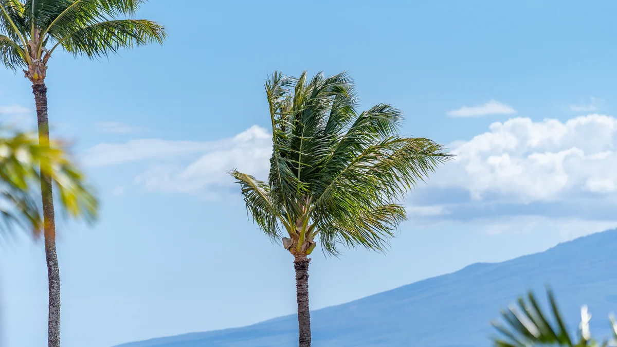 Kuleana 321
