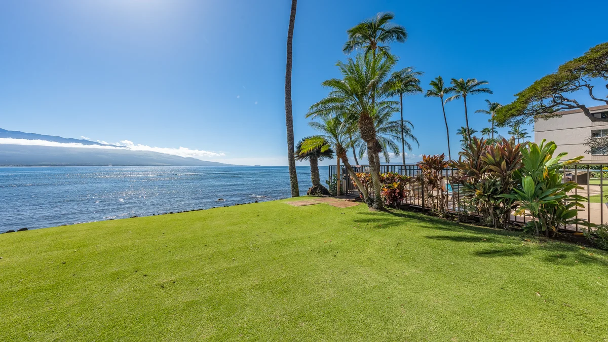 Lauloa 105