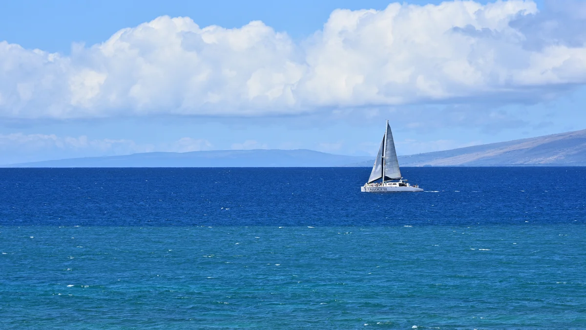 Kaleialoha 210