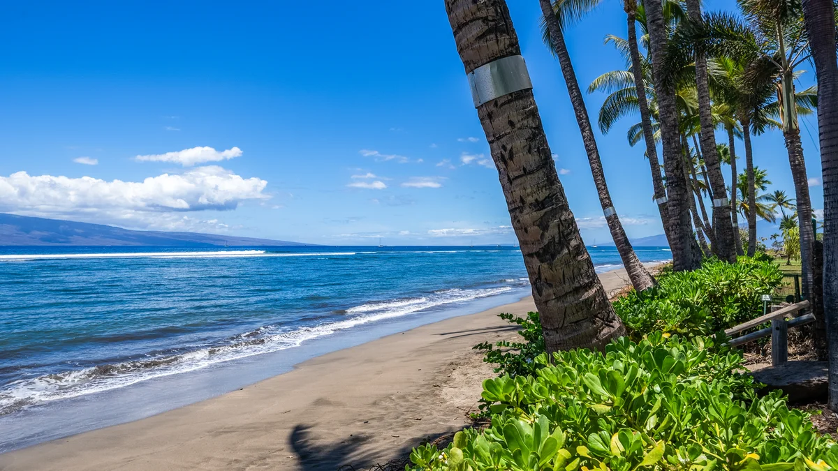 Lahaina Shores 607