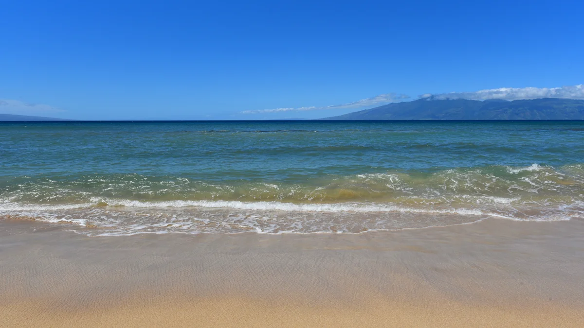 Kaleialoha 210