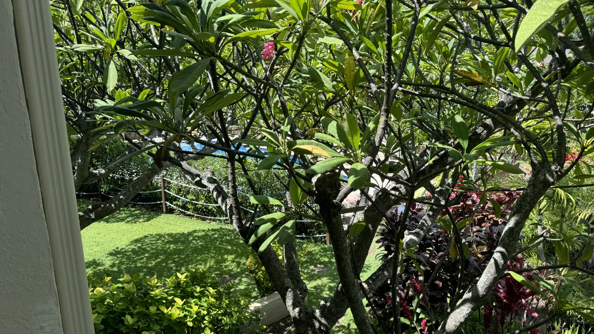 Napili Shores E237