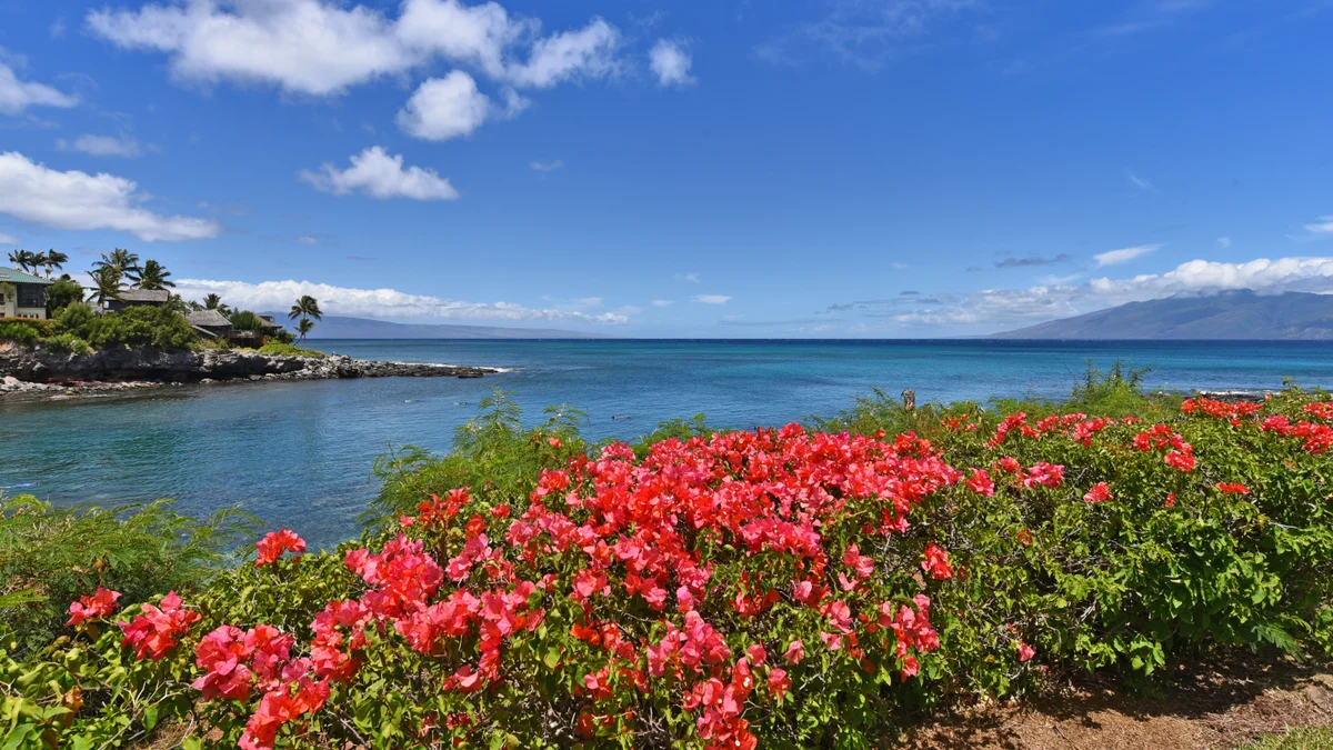 Napili Point C21