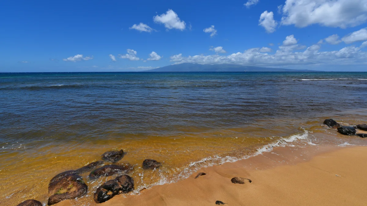 Kaanapali Shores 515