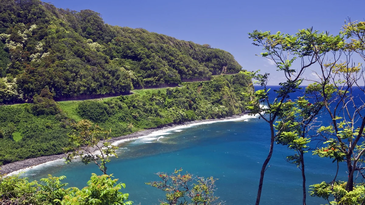 Lahaina Shores PH4