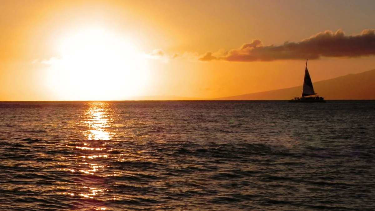 .Mahana 405