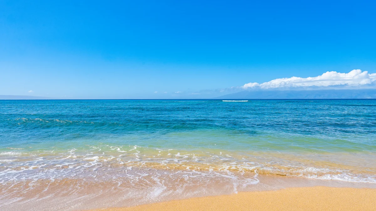 .Royal Kahana 1103
