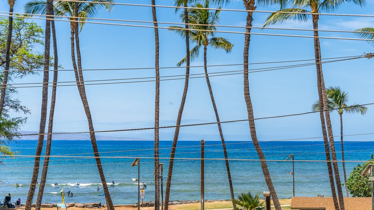 Island Surf 306