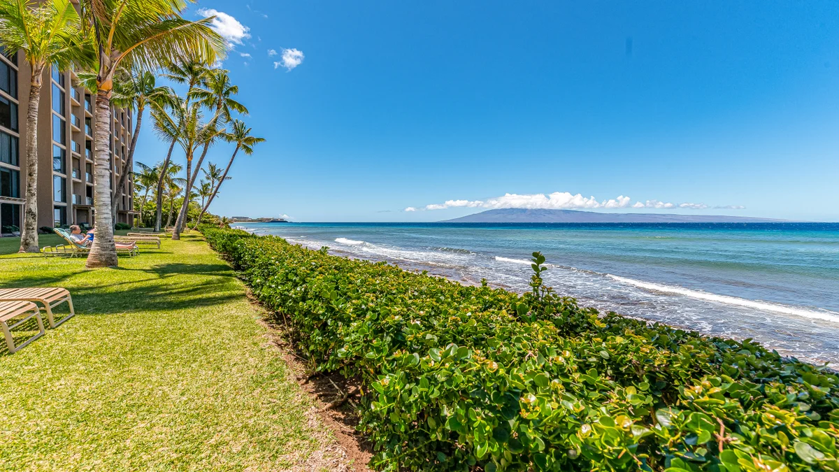 Mahana 705