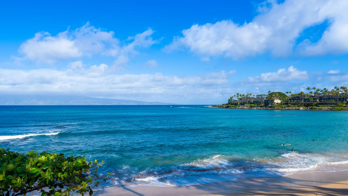 Napili Surf 209