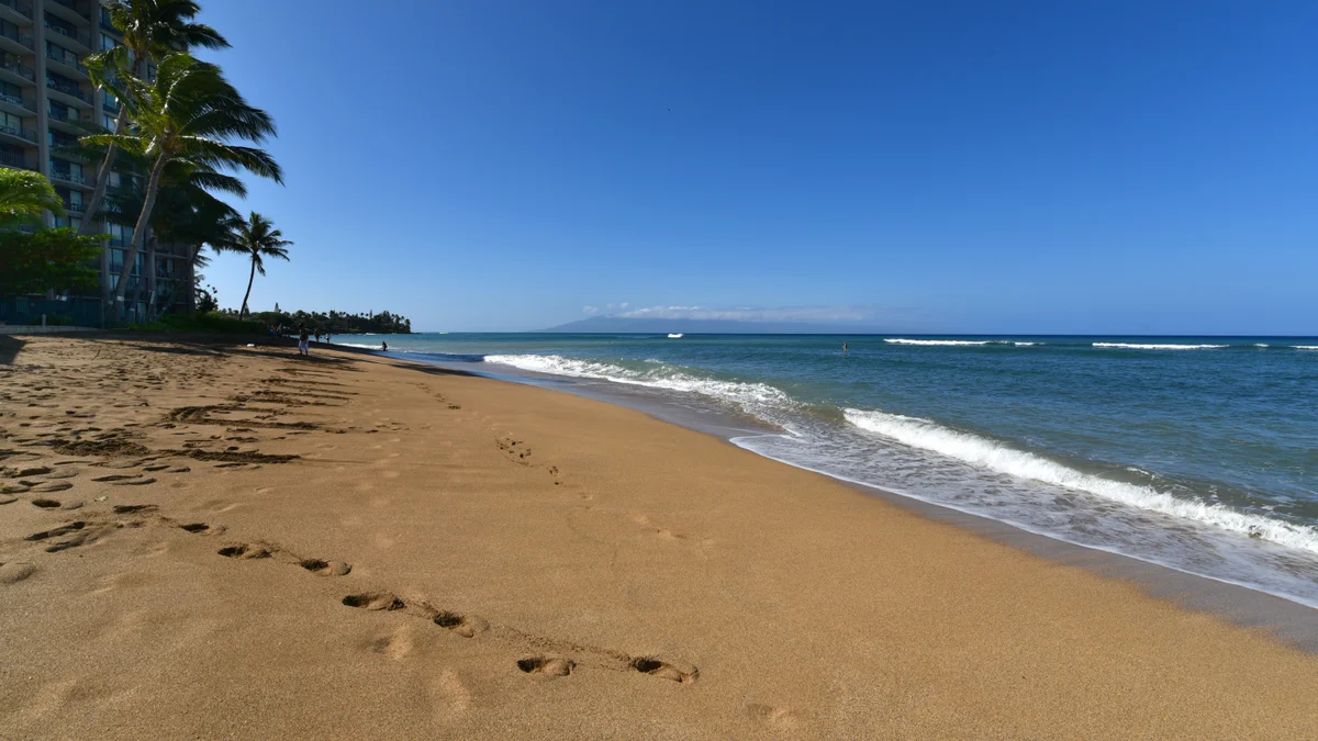Royal Kahana 104