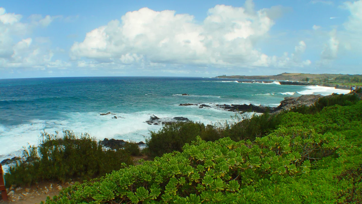 Kapalua Bay Villas 33G2