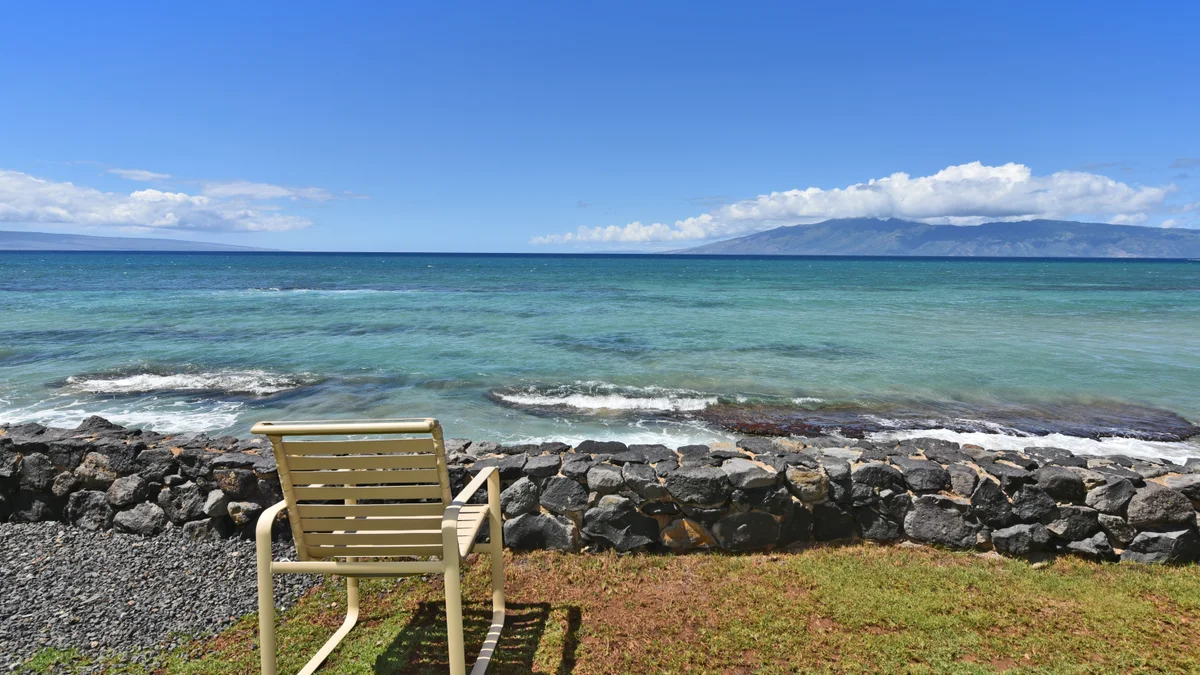 Kaleialoha 309
