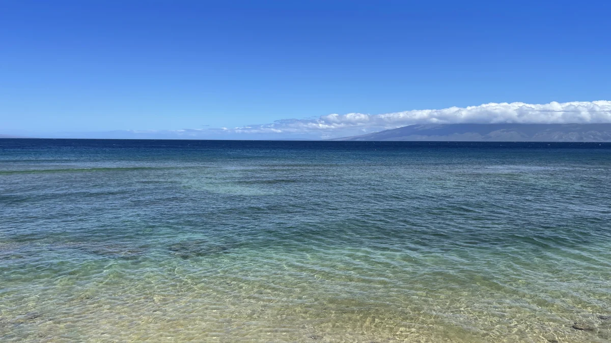 Maui Kai 206