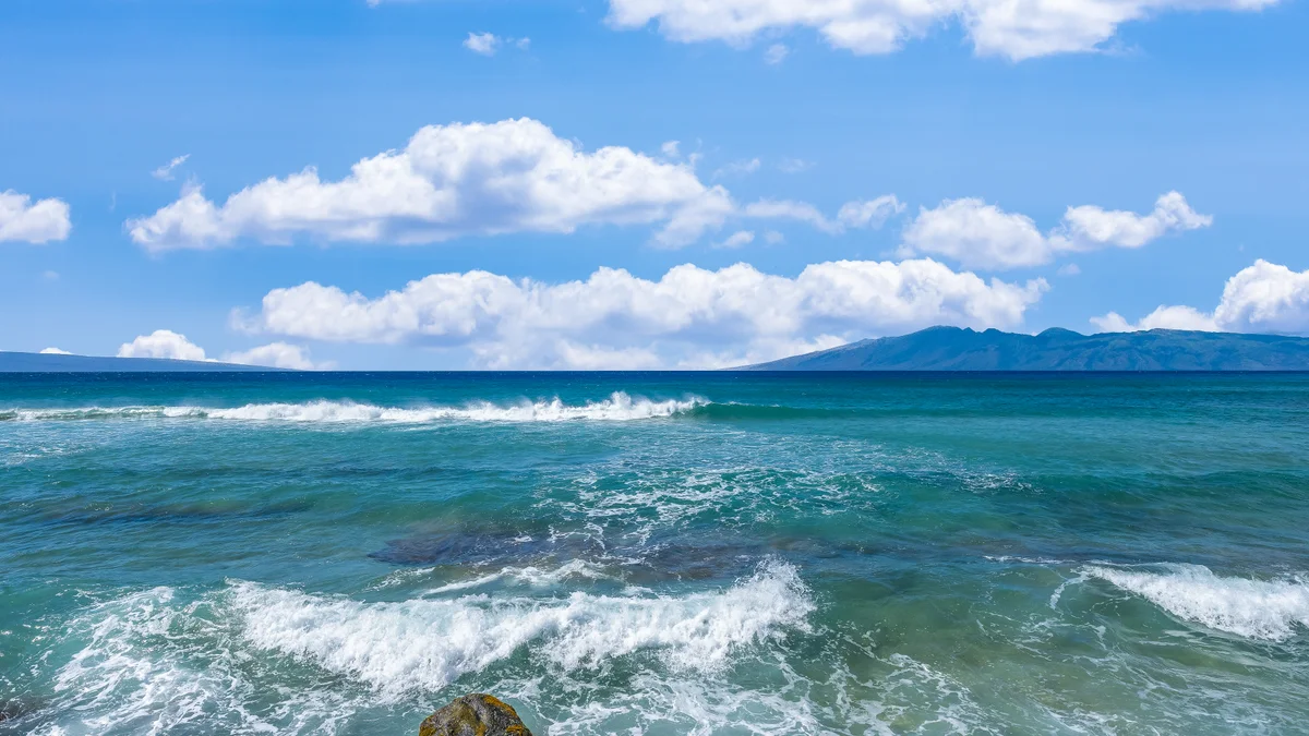 Kaleialoha 211