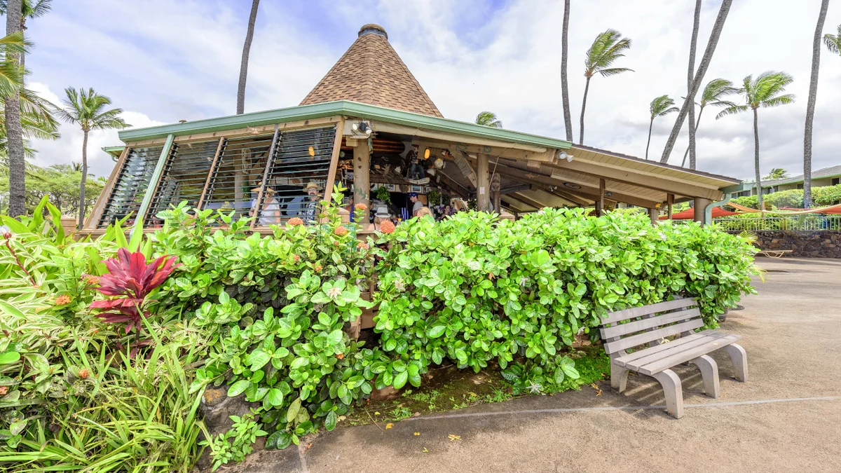 Napili Shores D227