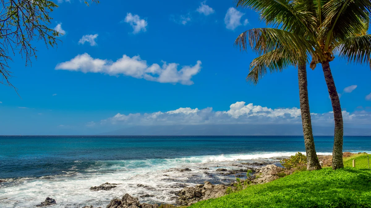 Napili Point C21