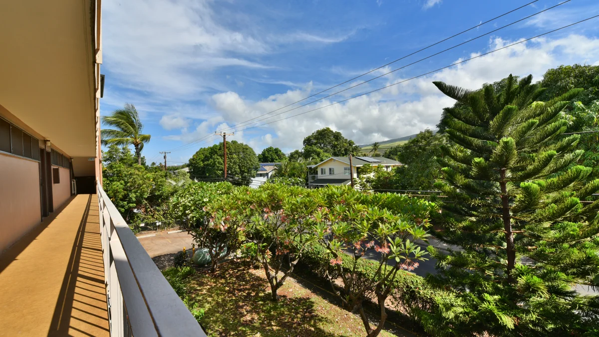 Lahaina Roads 209