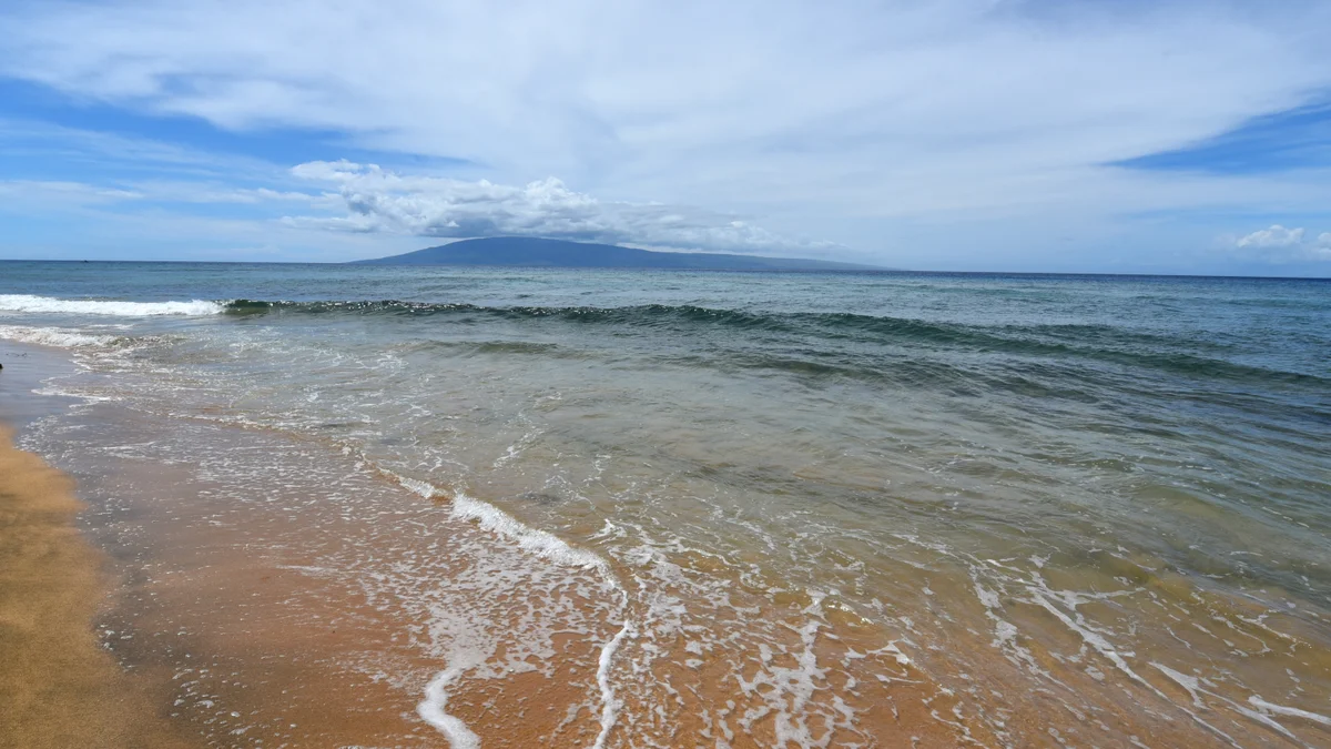 .Mahana 1106