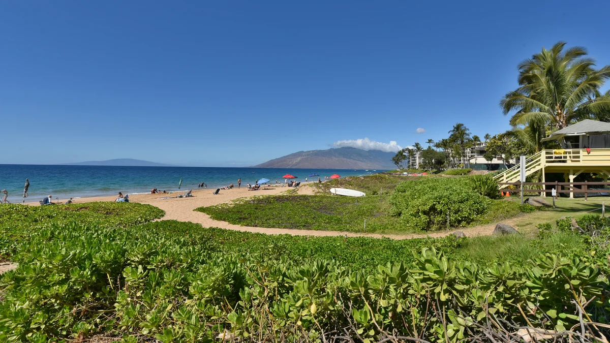 Kihei Akahi D402