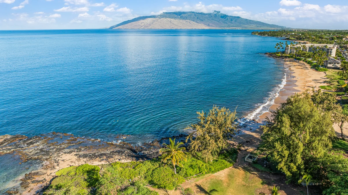 Maui Banyan H207