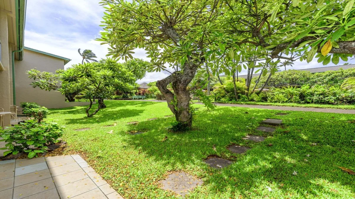 Napili Shores D127