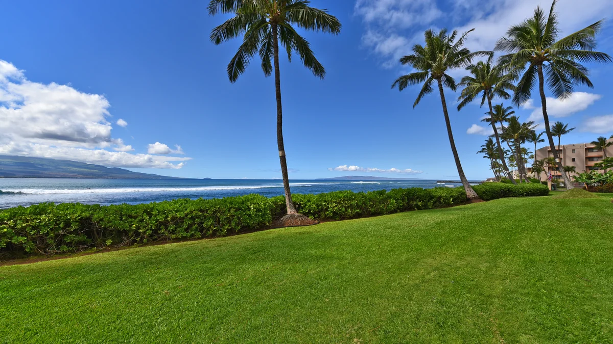 Island Sands 210