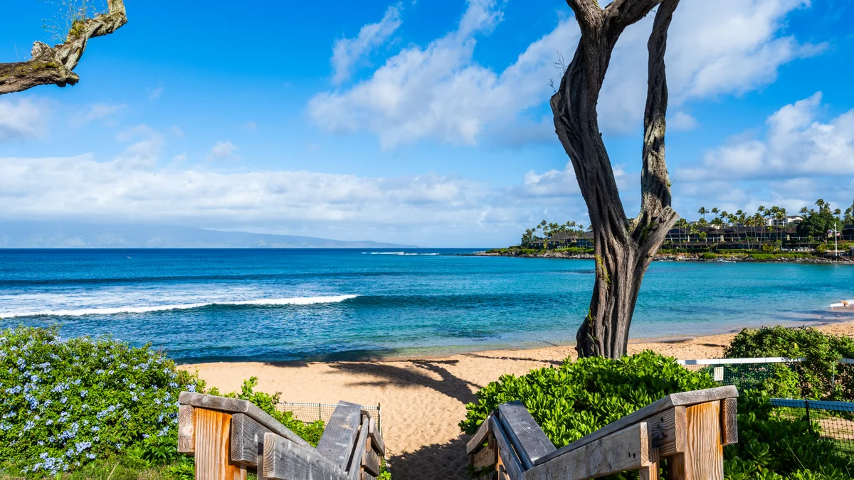 Napili Surf 209