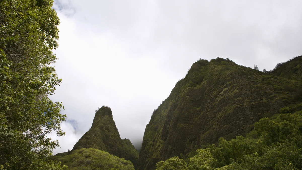 Kahana Reef 111