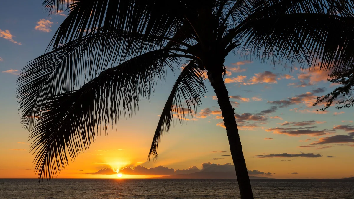 Lahaina Shores PH4