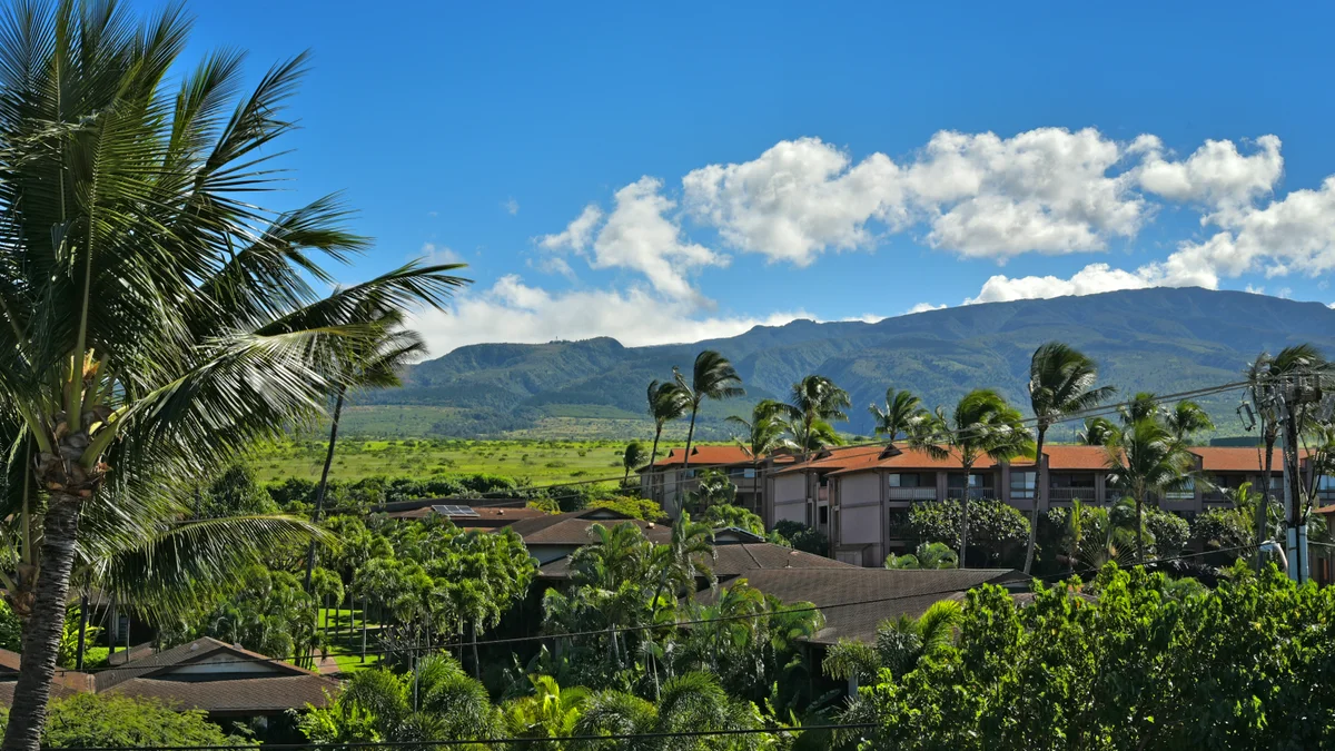 Kaleialoha 402